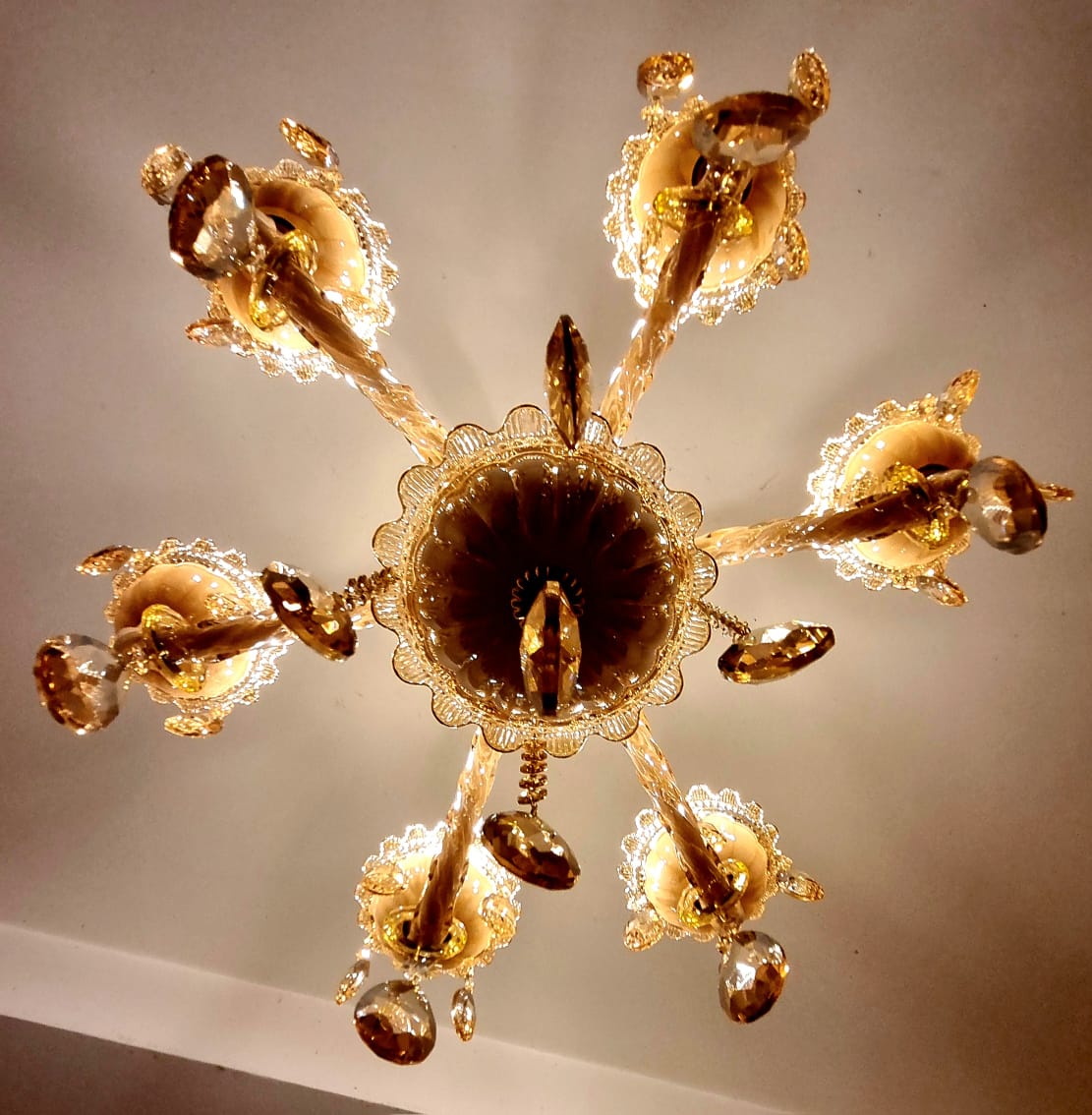 WhatsApp Image 2025-06-23 at 1.46.47 PM (1).jpeg